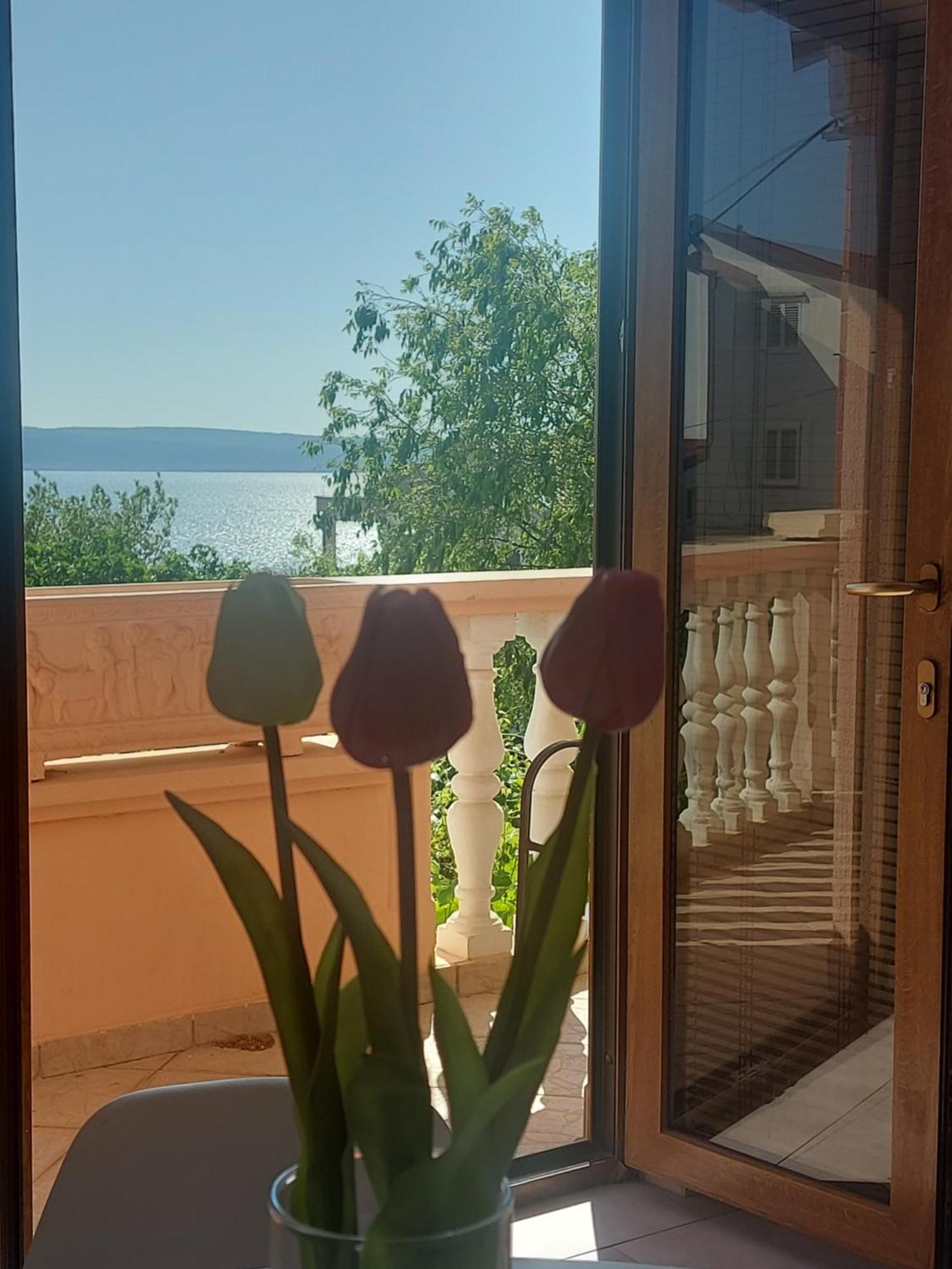 Apartment Ante And Dijana Apartment