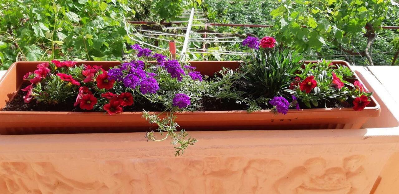 Ante And Dijana Apartman Starigrad-Paklenica