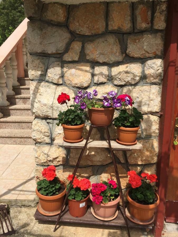 Ante And Dijana * Starigrad-Paklenica